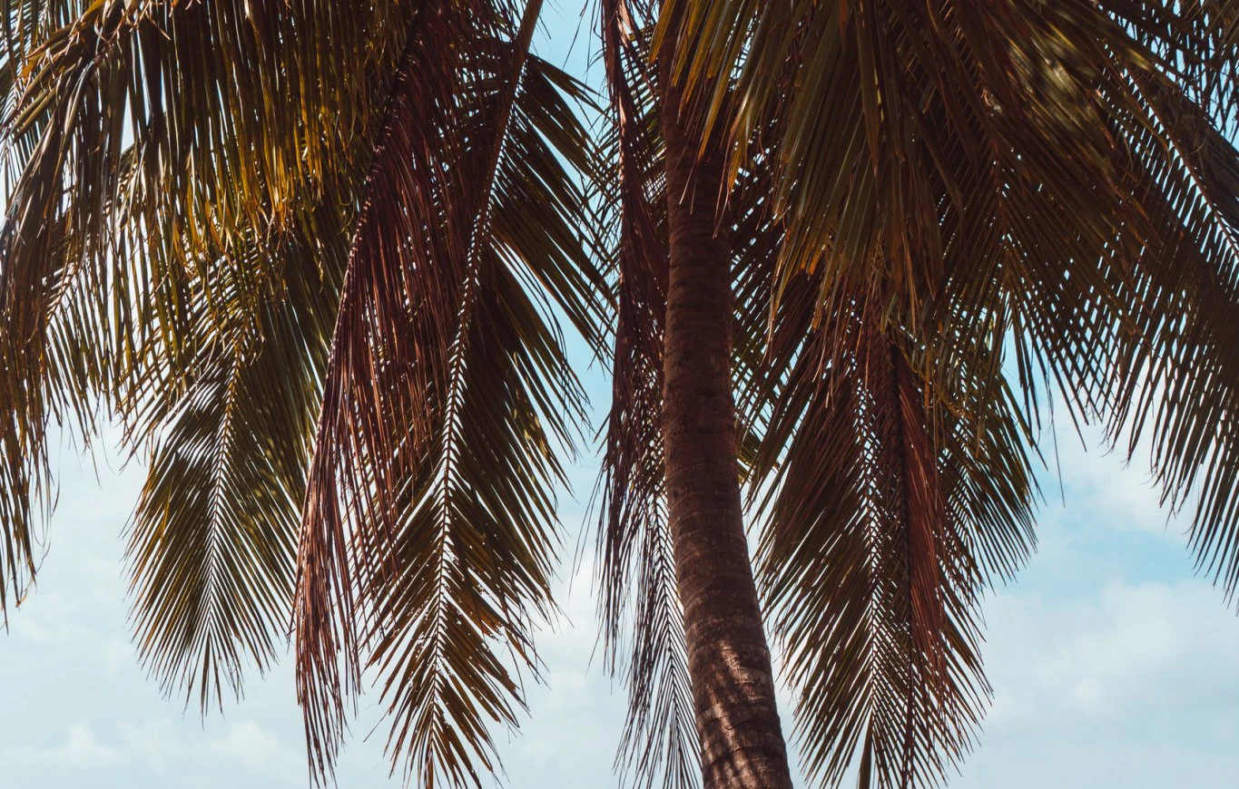 Come scegliere l’acqua giusta: corso per consumatori attenti e professionisti del benessere