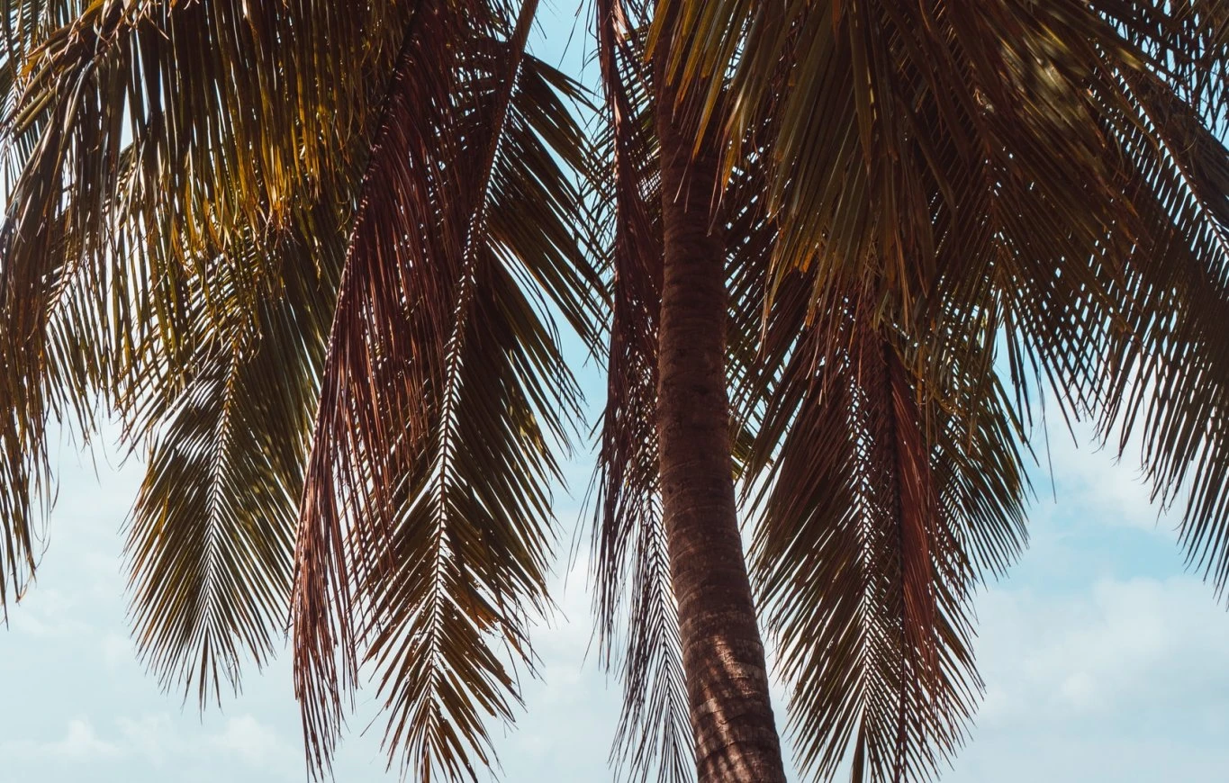 Il benessere come priorità