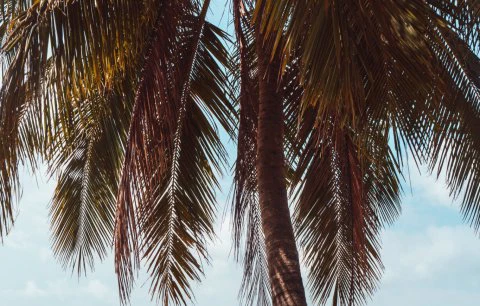 Come scegliere l’acqua giusta: corso per consumatori attenti e professionisti del benessere